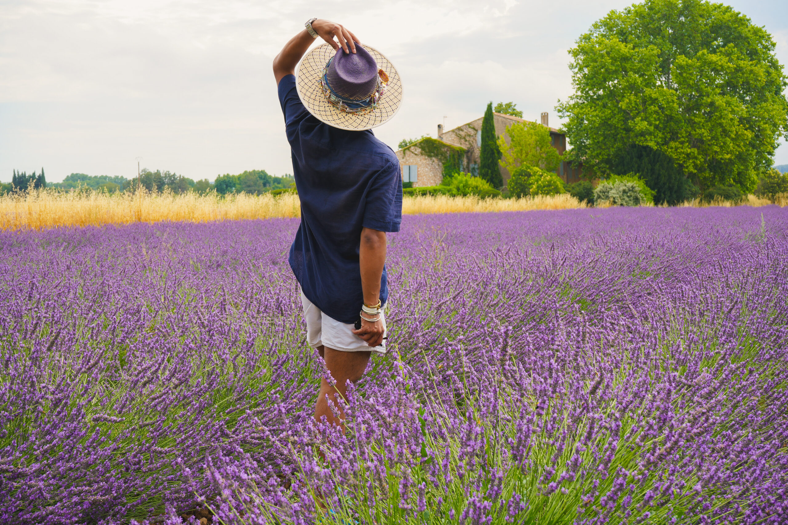 474e3546 09be 49de 9807 e045627f4147